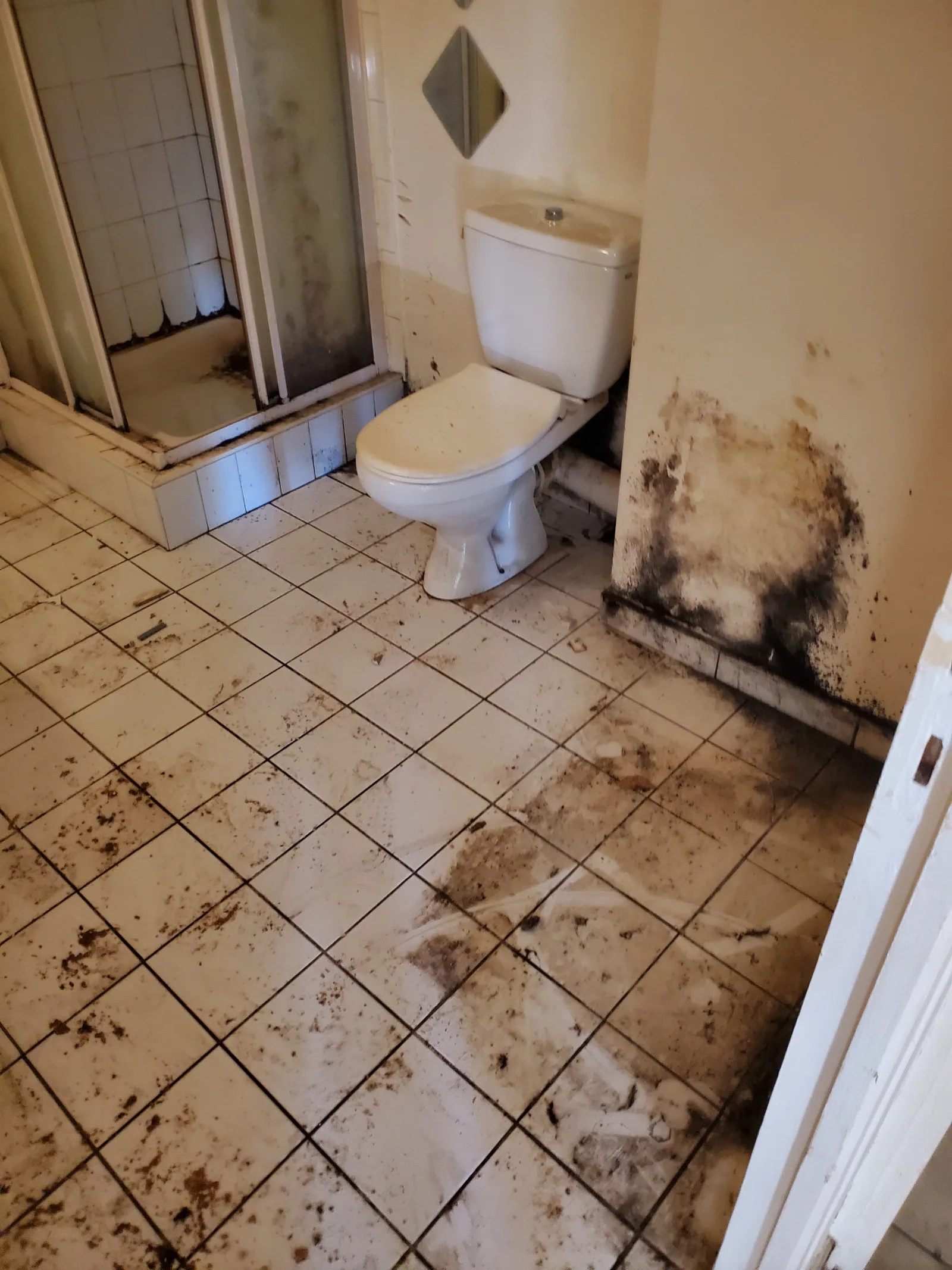 Remise en état logement insalubre 3