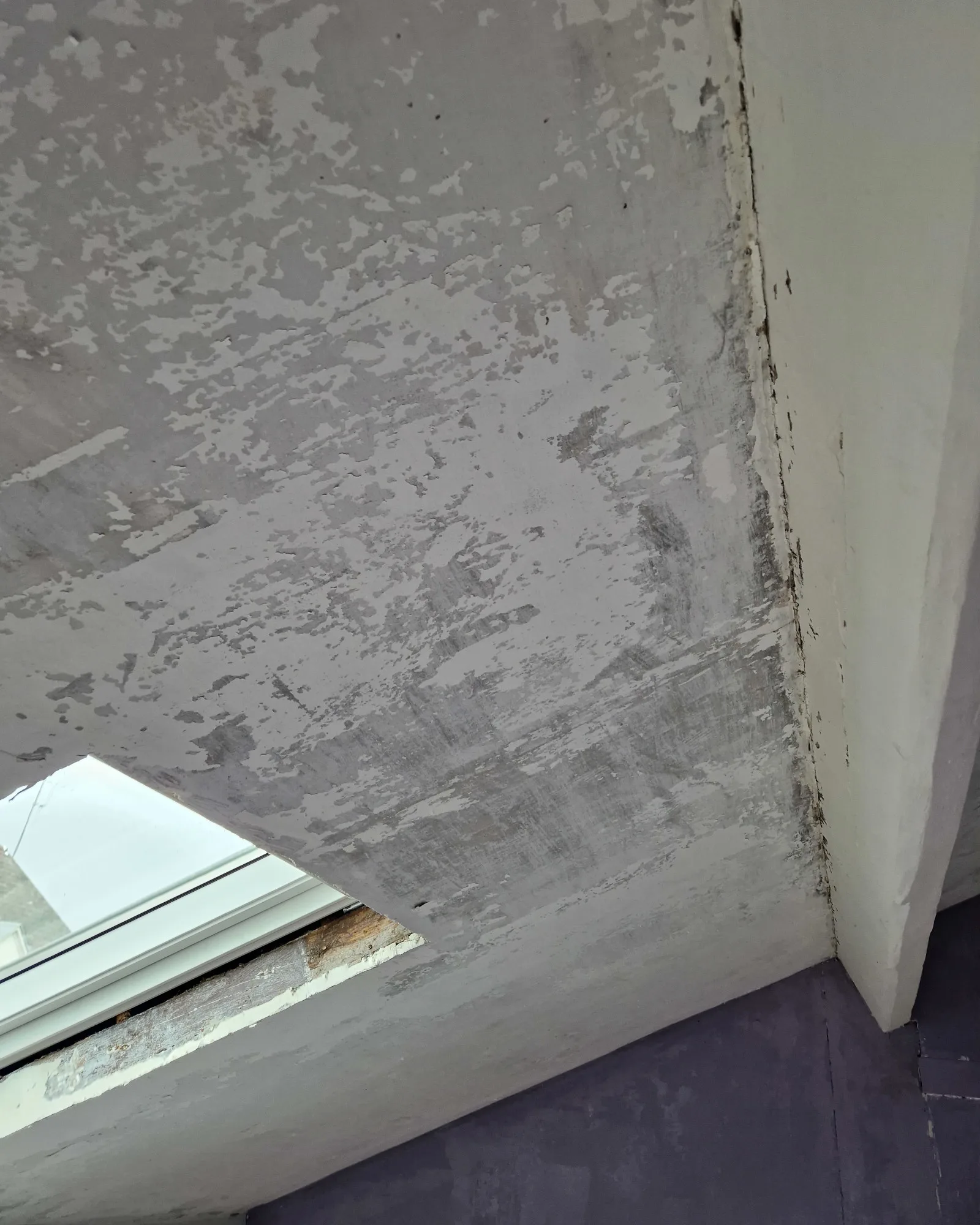 Rénovation Locative Sous-pente Avant